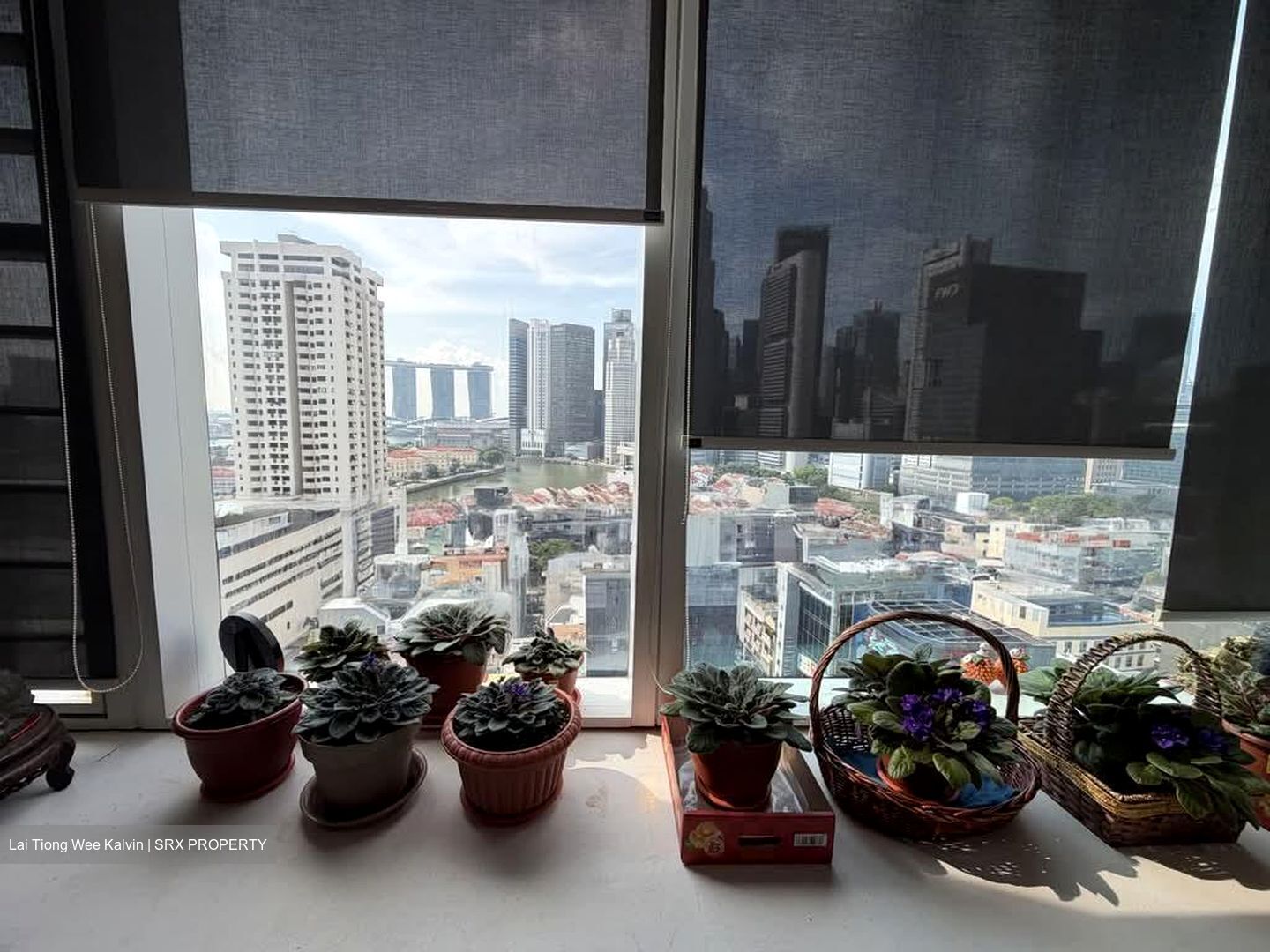 The Central (D1), Office #564003481